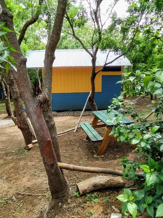 Cabina Casa Soley Puerto Soley Exterior foto